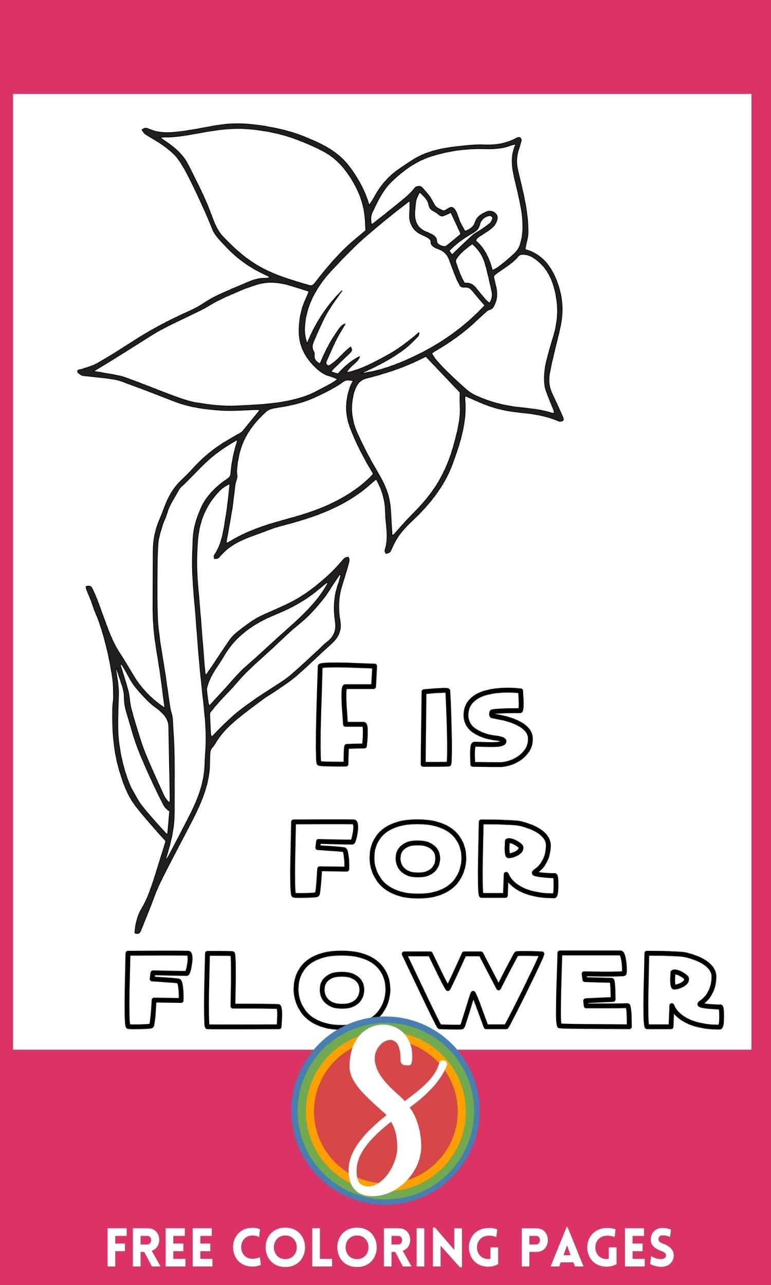 daffodil and "f is for flower" text on a coloring page
