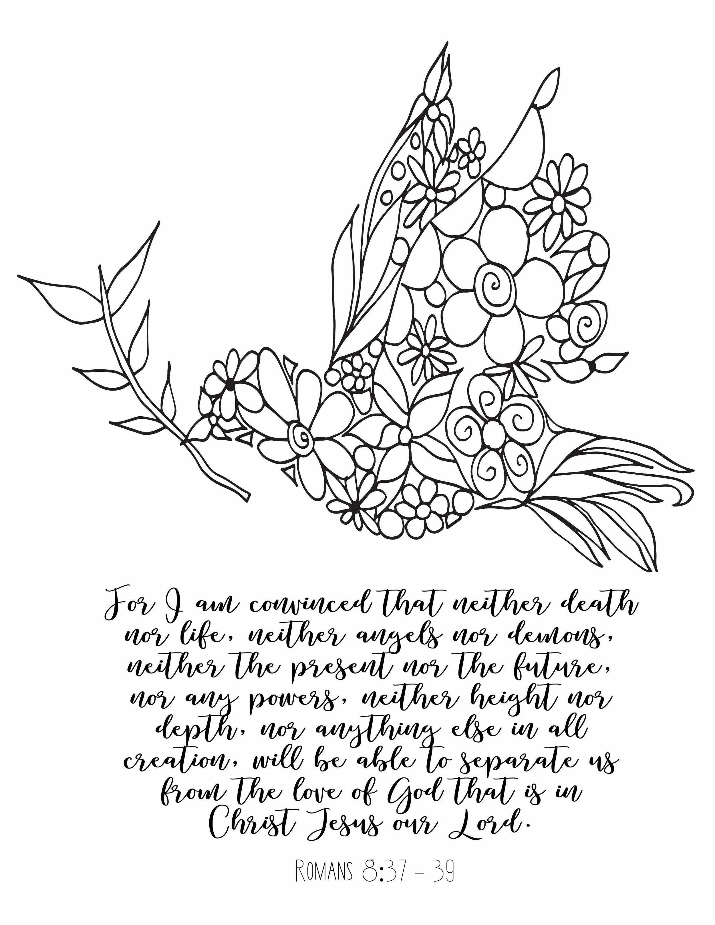 Faithful Designs