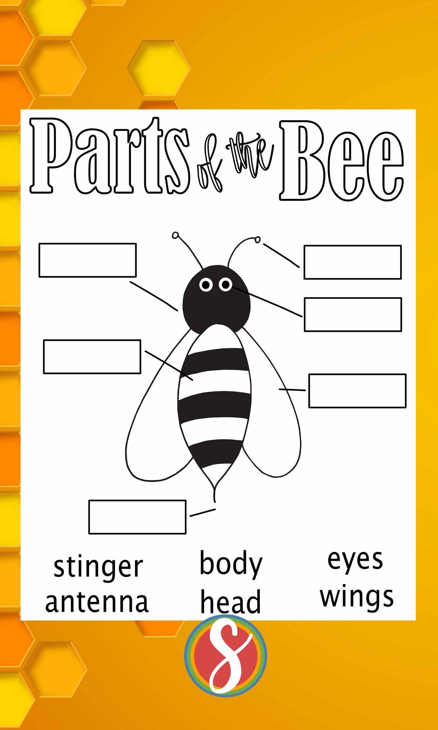 simple bee coloring page with empty boxes connected to the bees body parts with straight lines