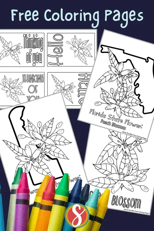 Free Peach Blossom Coloring Pages — Stevie Doodles