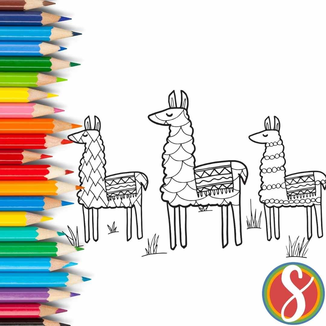 3 simple  llamas on a llama coloring page