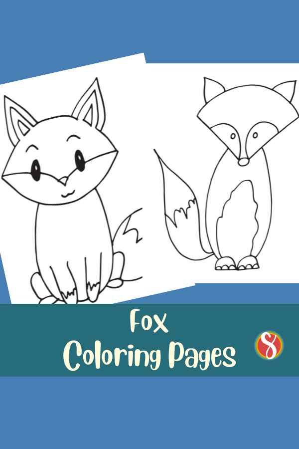 2 fox coloring pages on a blue background