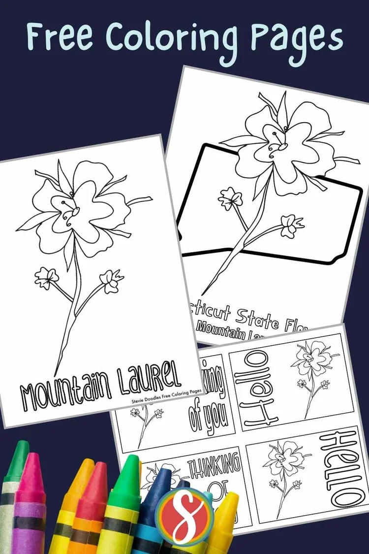 Free Mountain Laurel Coloring Page — Stevie Doodles