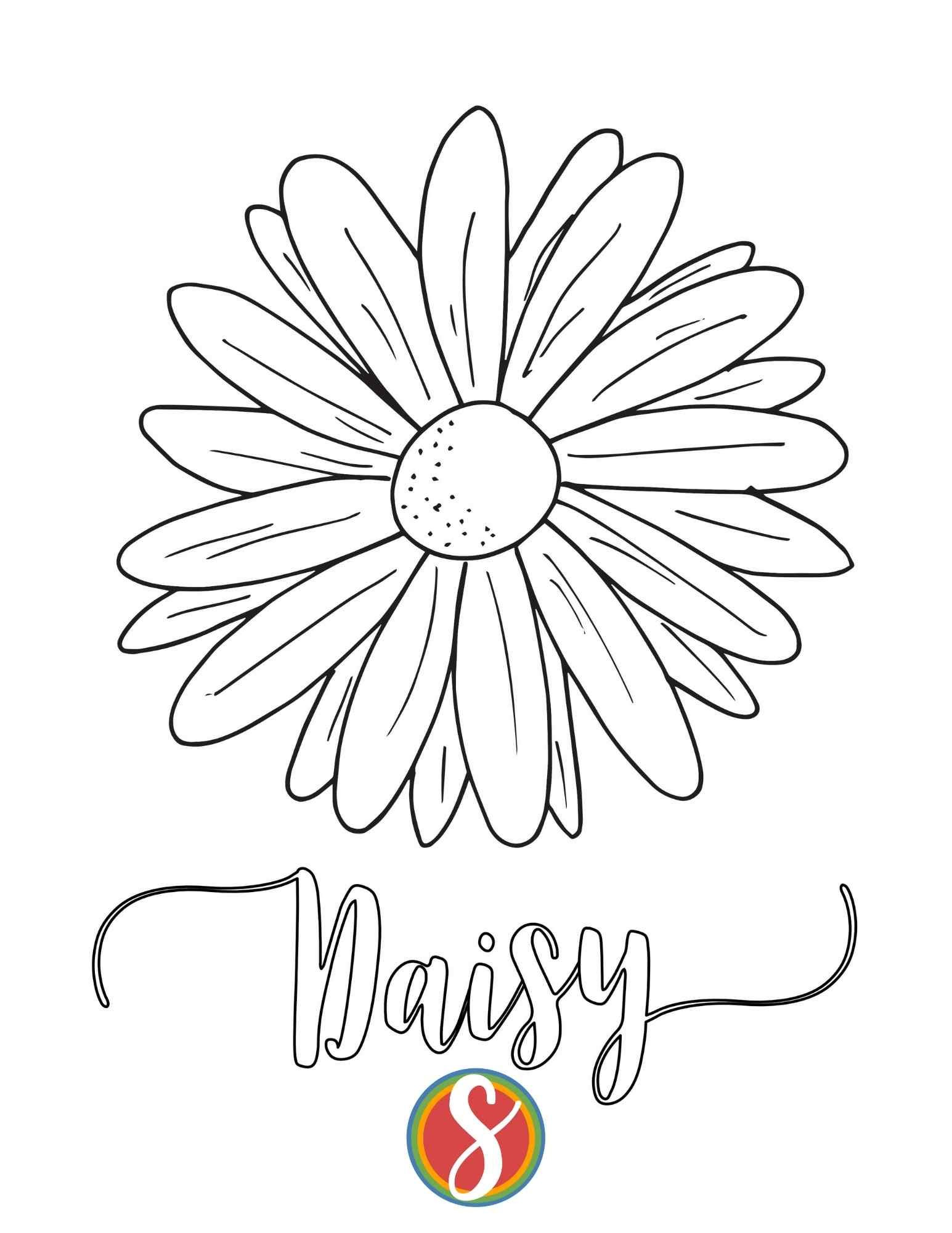 a large daisy flower to color and colorable word "daisy" in script below