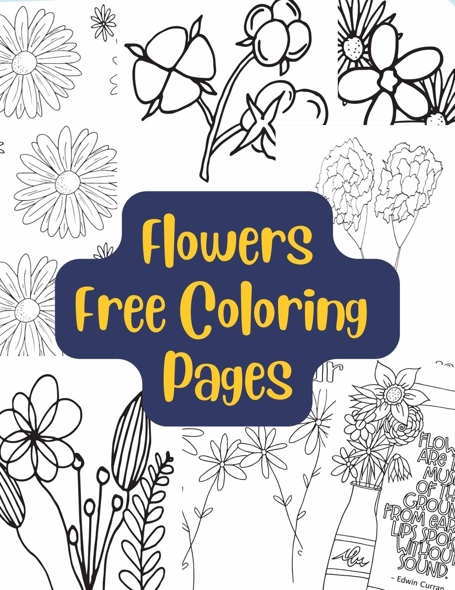 a collage of flower coloring pages