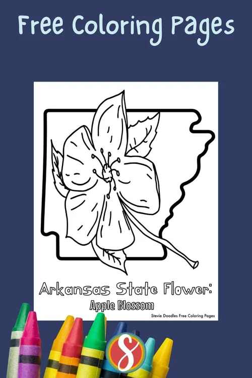 Free Apple Blossom Coloring Pages — Stevie Doodles