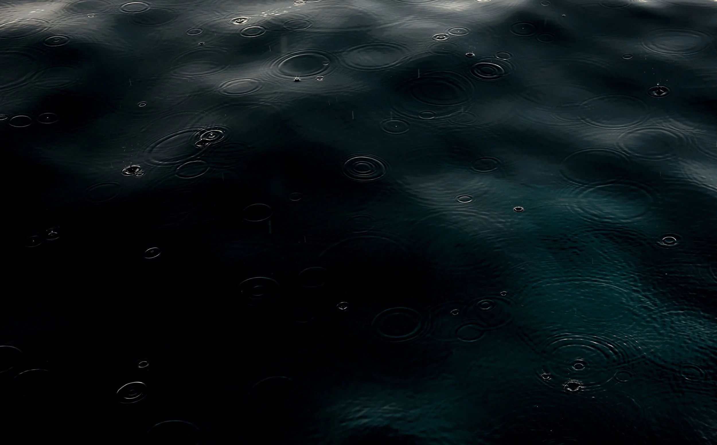 f3b059f5-4708-4d8e-9511-287681c6301c.jpg