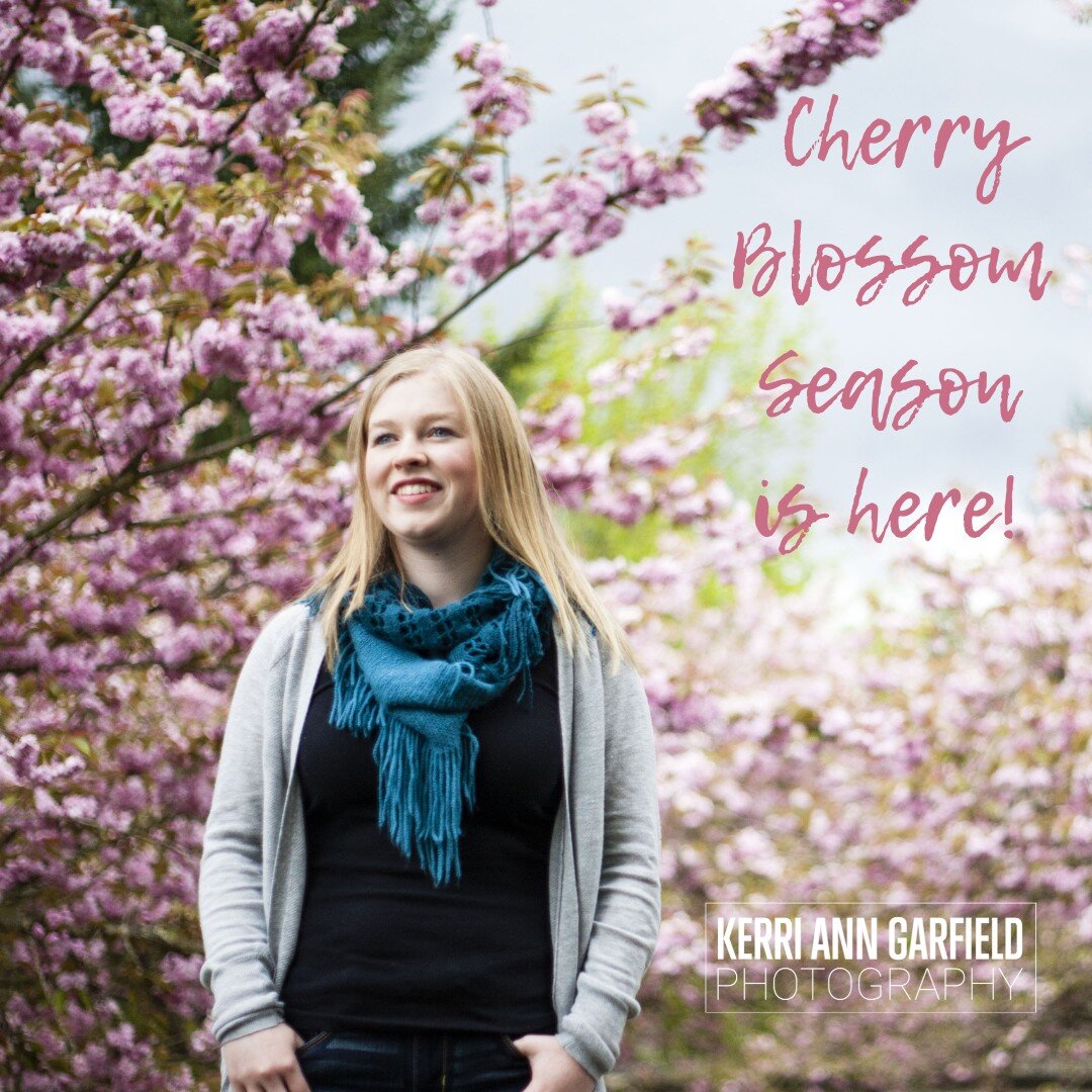 🌸 Say hello to Spring as our gorgeous cherry blossoms start to bloom! Let's capture this fleeting beauty with a photoshoot&mdash;it's a short season, so act fast. Whether you need senior photos, family portraits, or headshots, let's make the most of