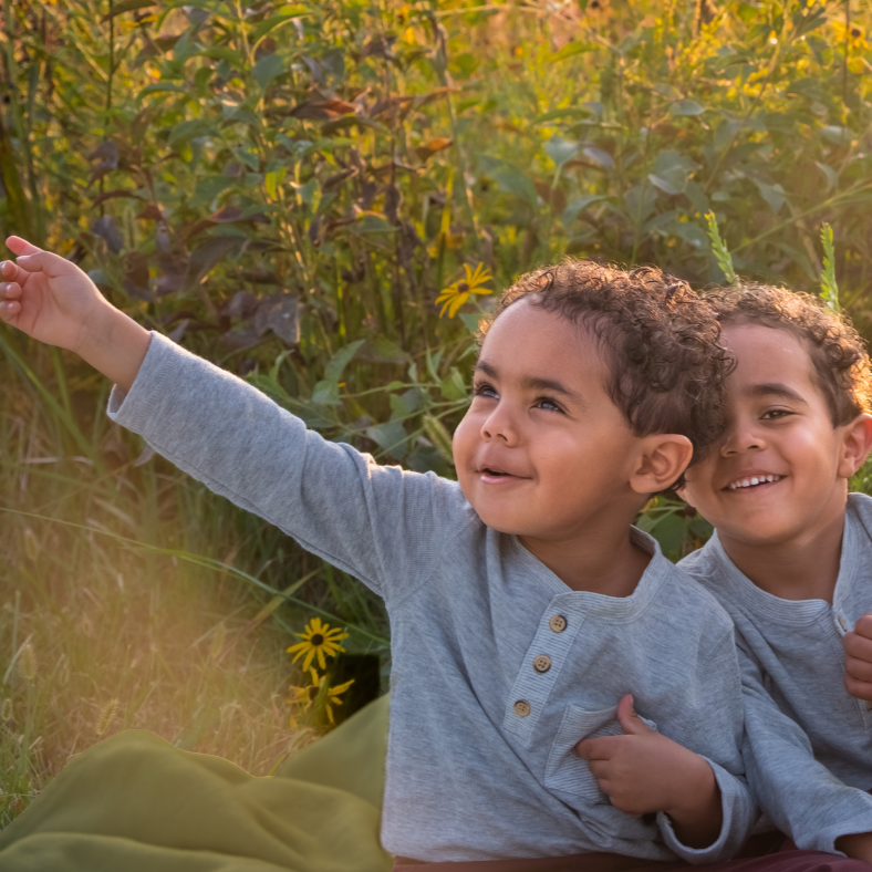 Understanding Twin Dynamics