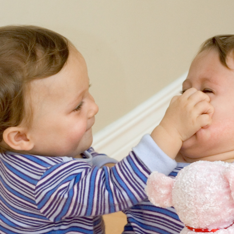 When Twins Fight