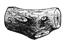 All our wood is hand harvested in Canada from downed trees, or reclaimed cast-offs from local industry.