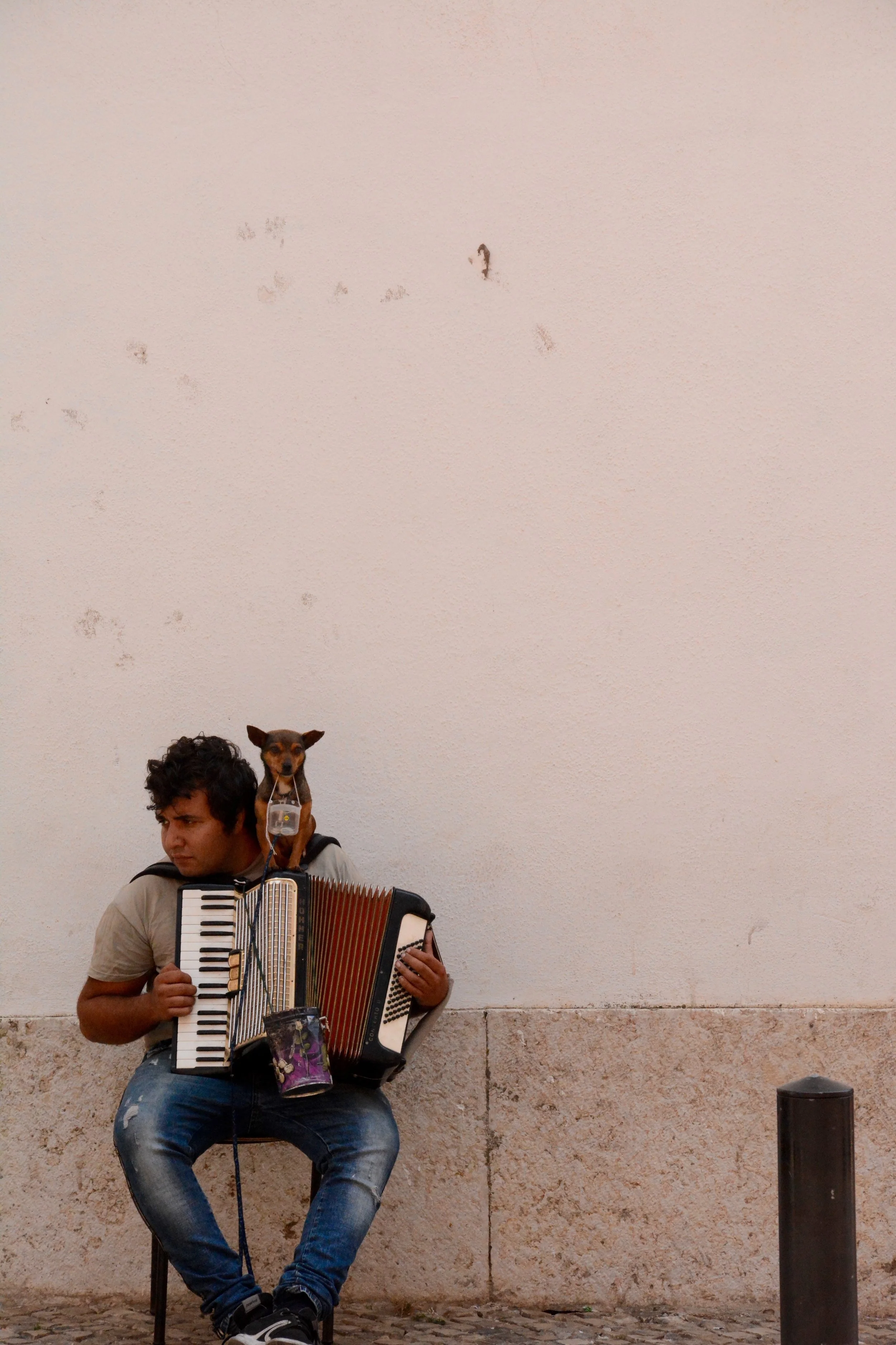musician with dog.jpg
