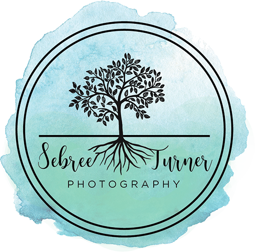 Sebree Turner Photography - Family Lifestyle Photographer