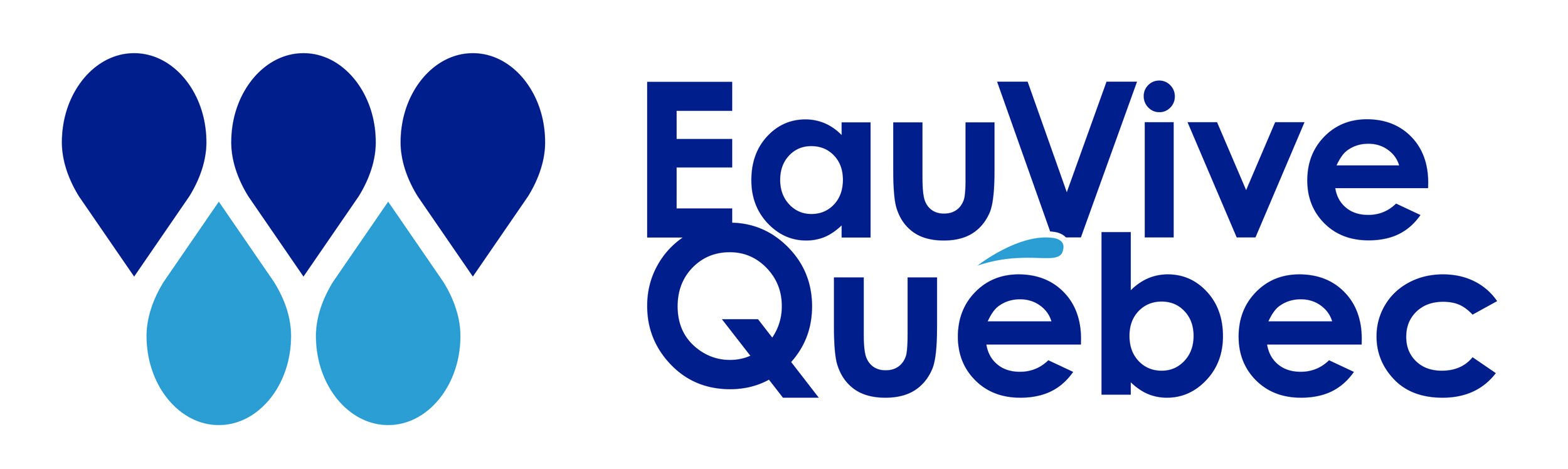 EVQ-logo.jpg