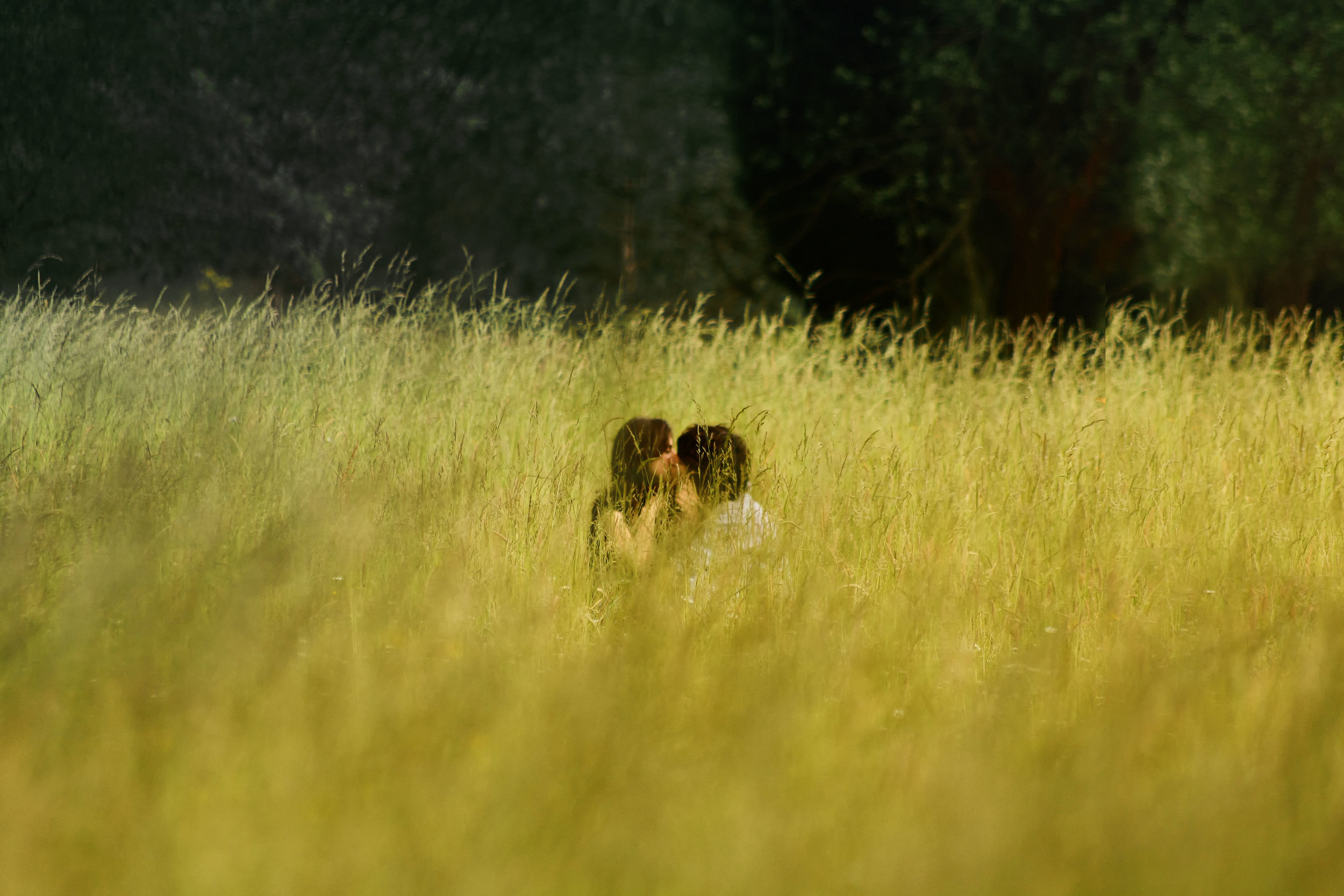 “From the cradle to the grave, humans desire a certain someone who will look out for them, notice and value them, soothe their wounds, reassure them in life’s difficult places, and hold them in the dark.” - Susan Johnson