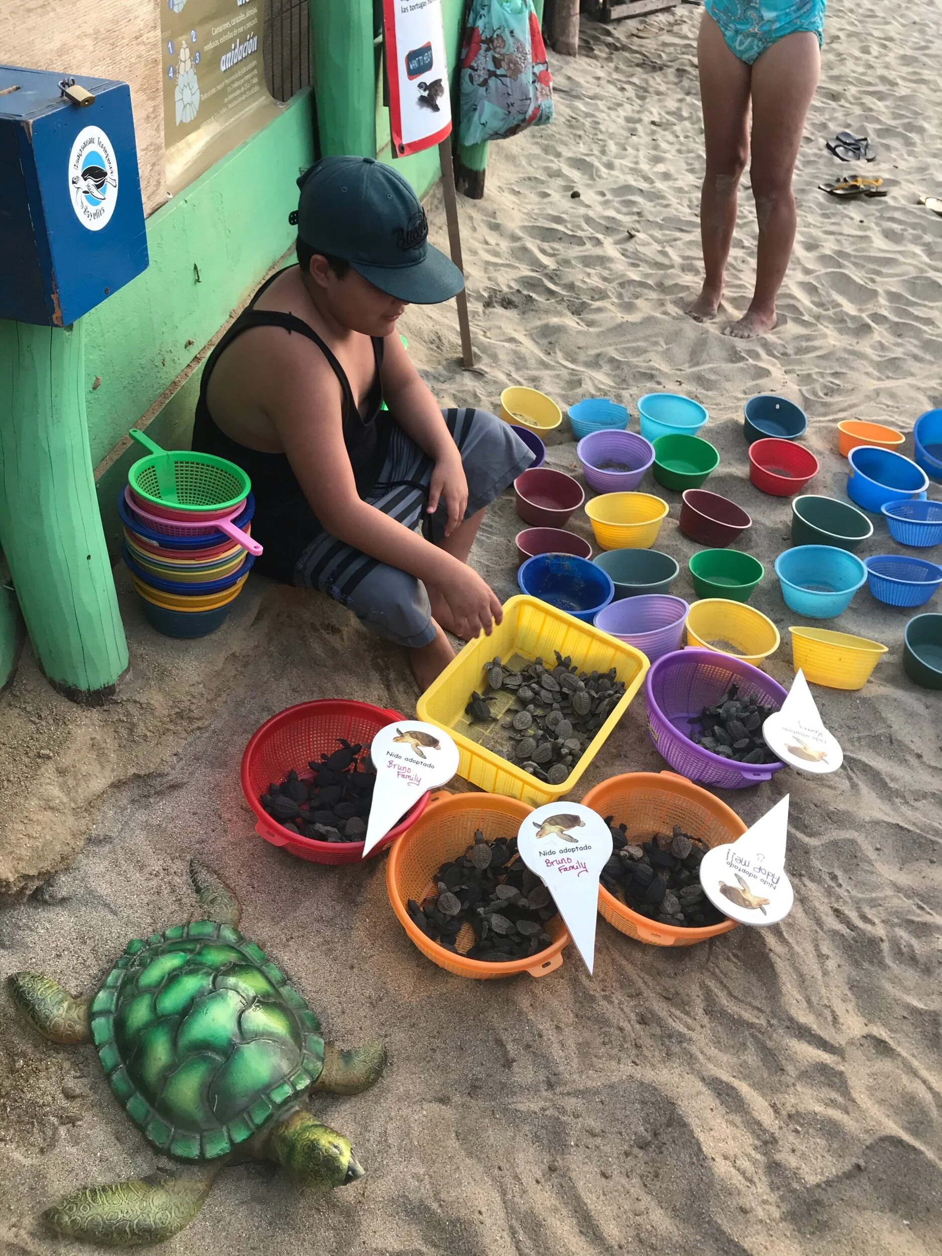Turtle Release in Sayulita, 🇲🇽 - a good cause and fun experience! 🐢
