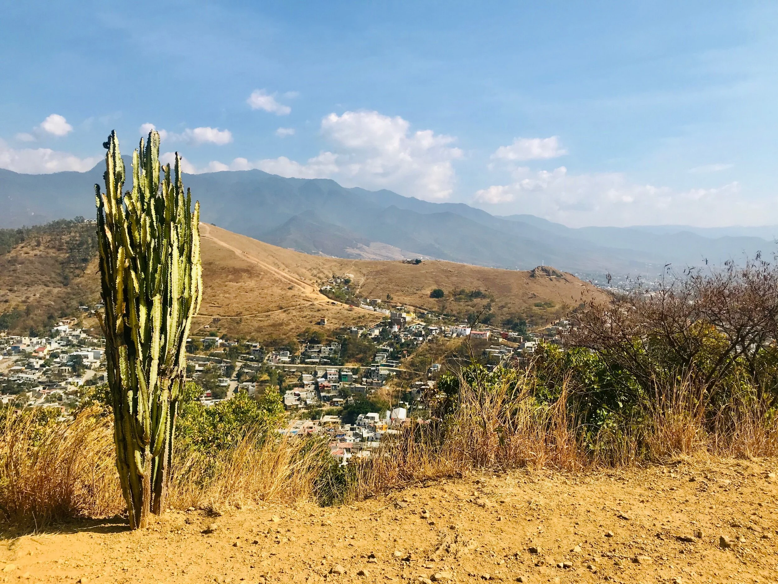 A month in Oaxaca de Juarez! π²π½