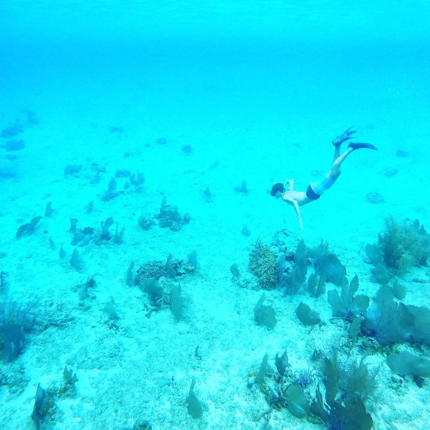 Kaio diving at Paradise Reef