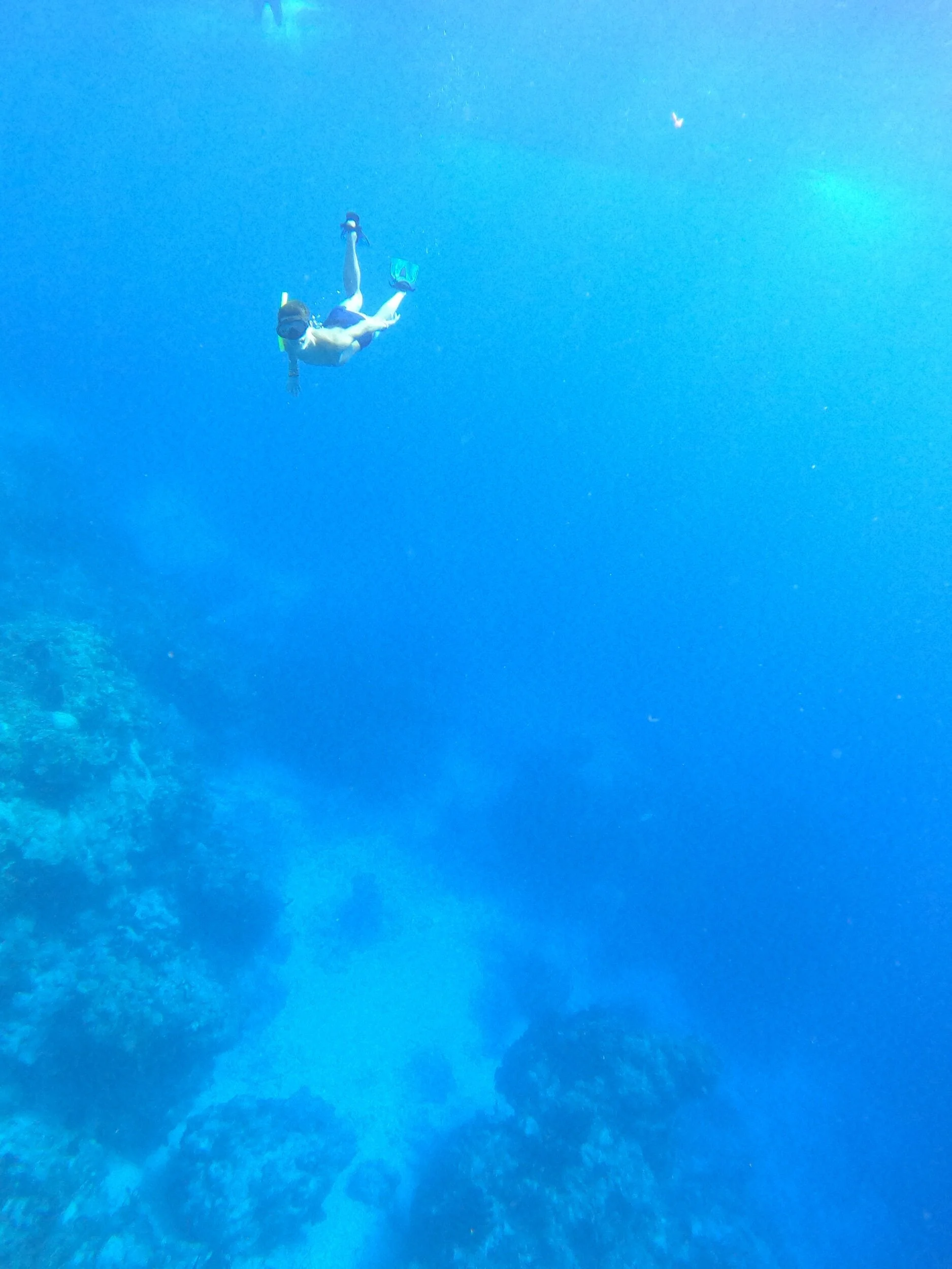 This is Kaio diving at the Santa Rosa Wall. You can see how deep the water gets on the right.