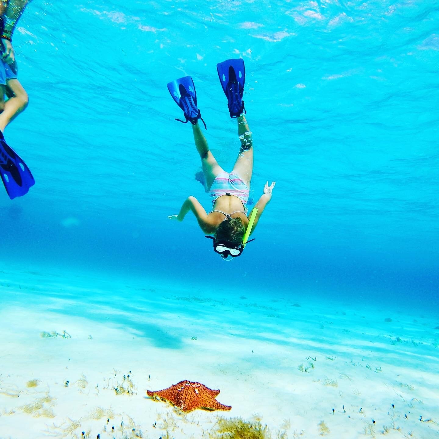 Snorkeling in Cozumel 🇲🇽