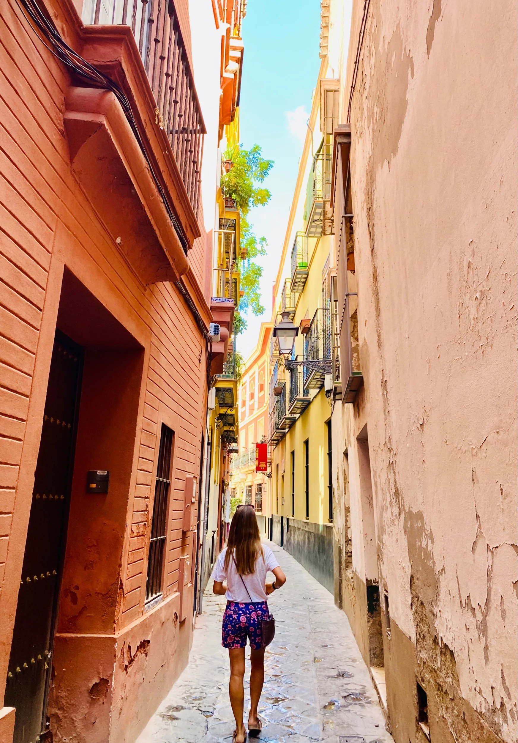 Seville; tapas, sangria & bull fighting