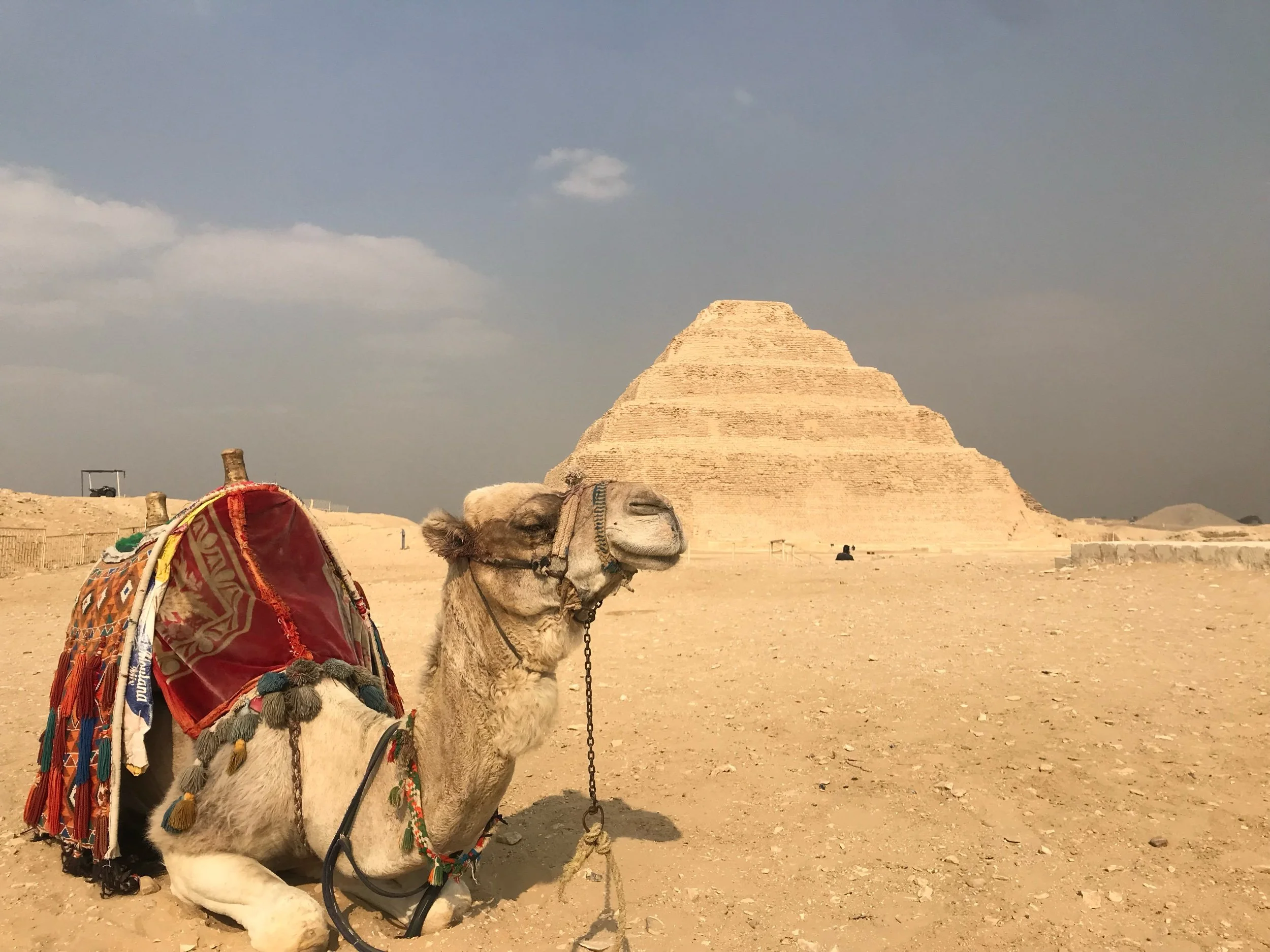 The Saqqara; home to the oldest stone building in the world!