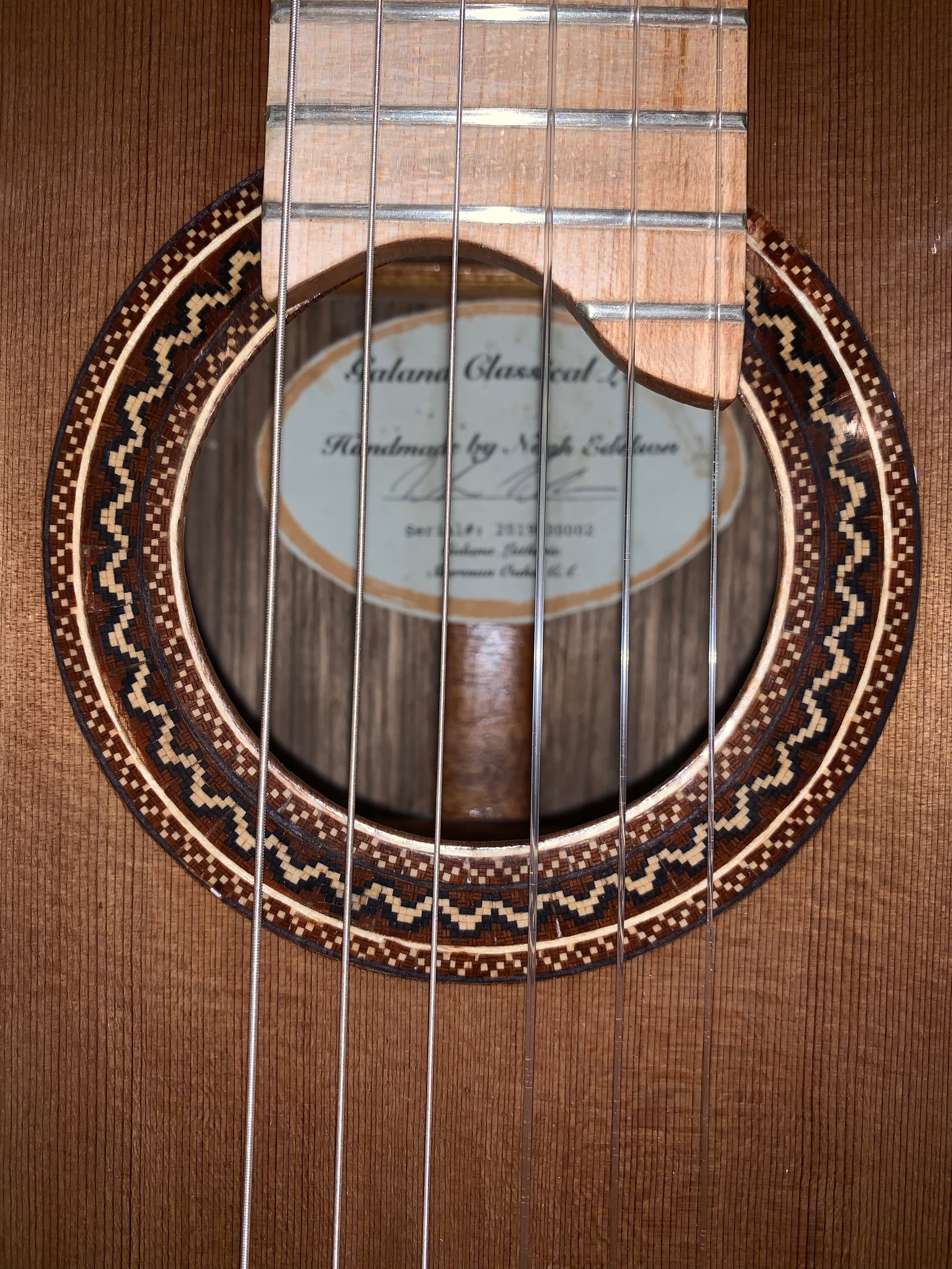 Finshised guitar two rosette.jpeg