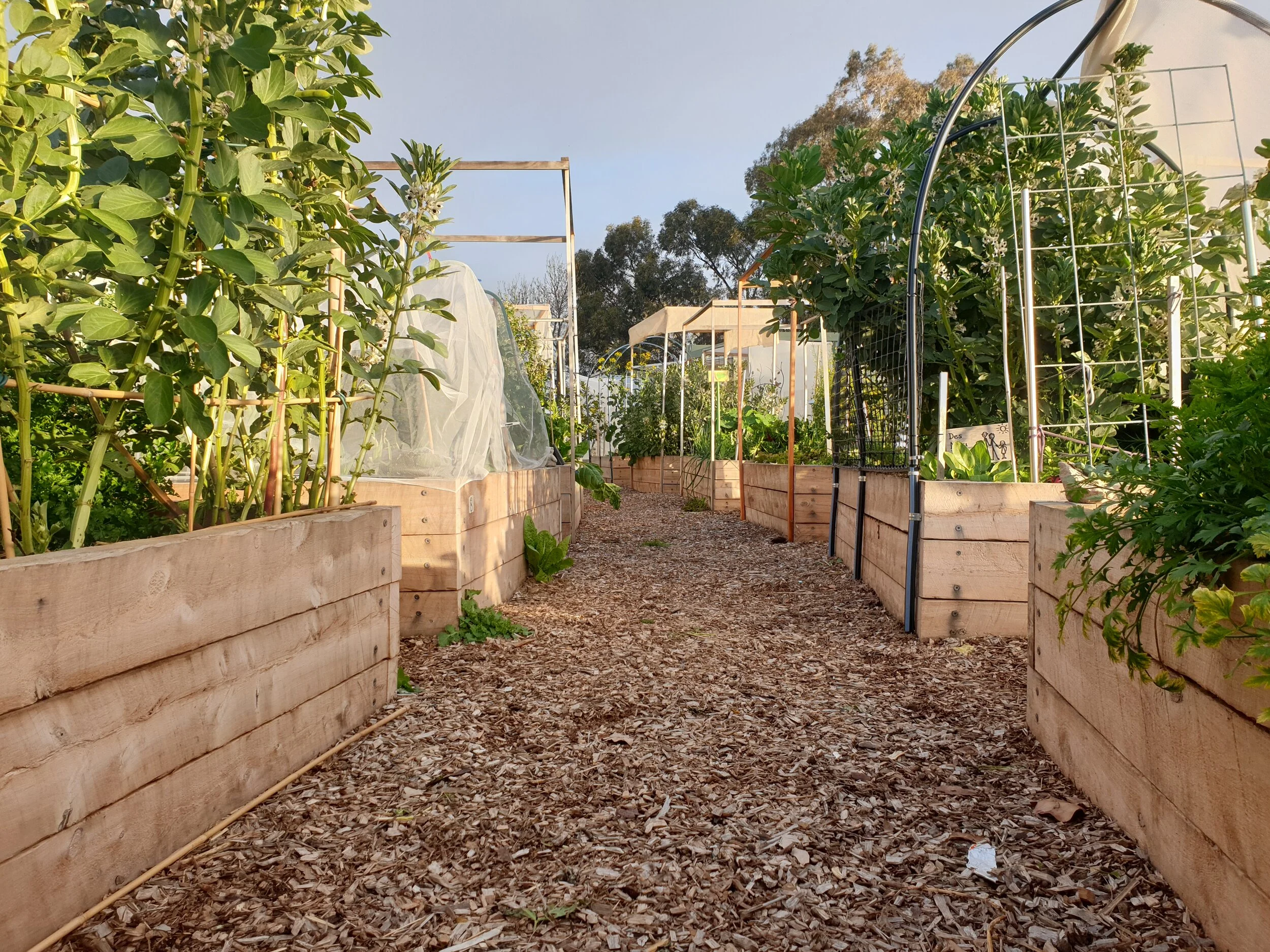 Newsletter - May/ June 2020