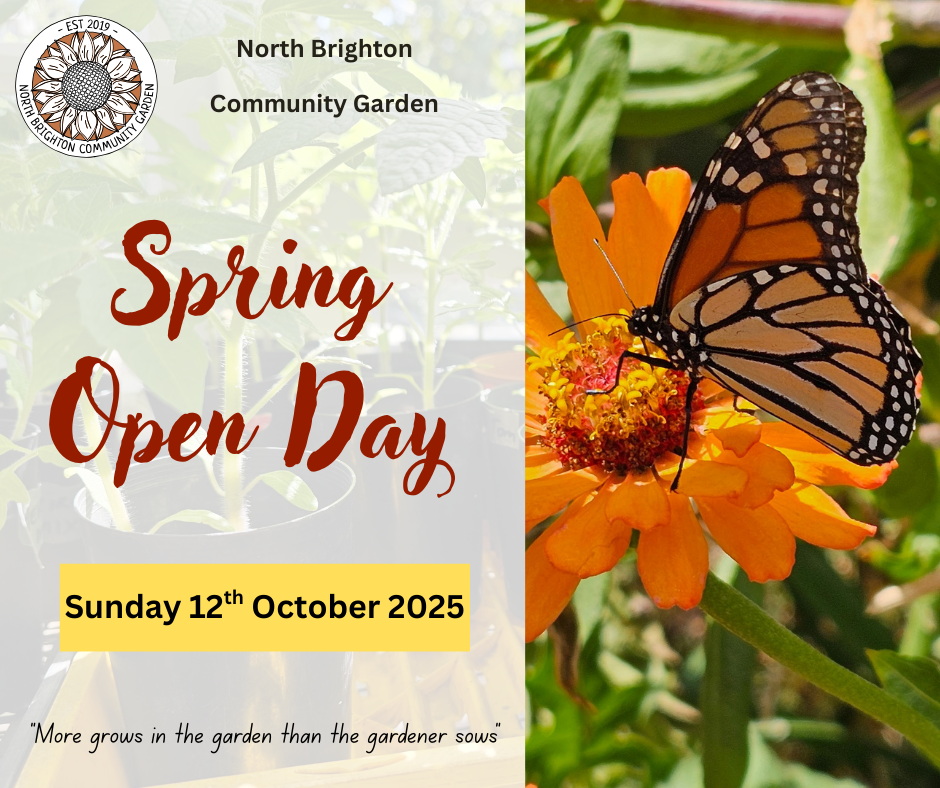 Spring Open Day