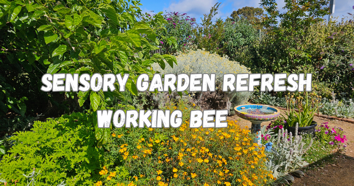 Sensory Garden Refresh - Working Bee