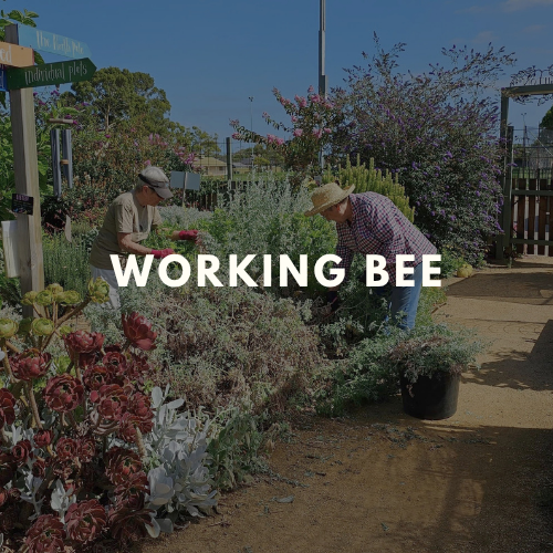 Working Bee  
