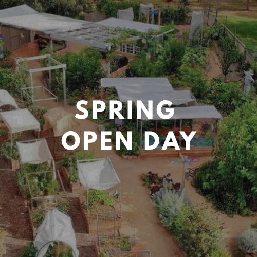 Spring Open Day
