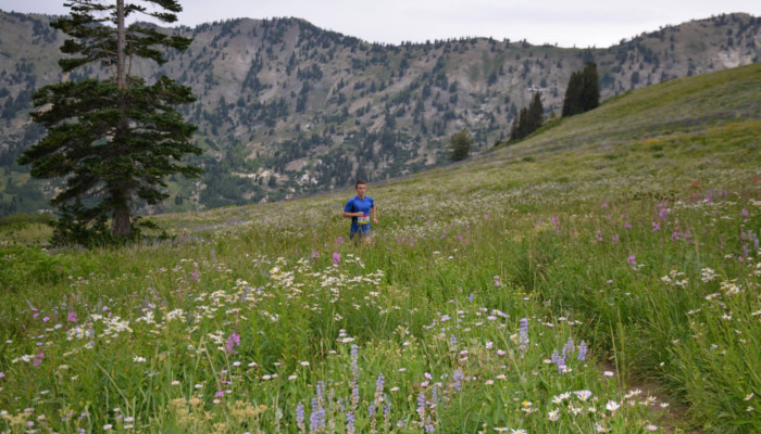 Alta July 10th &amp; August 7th