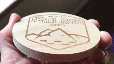 Coaster-WTRS.gif