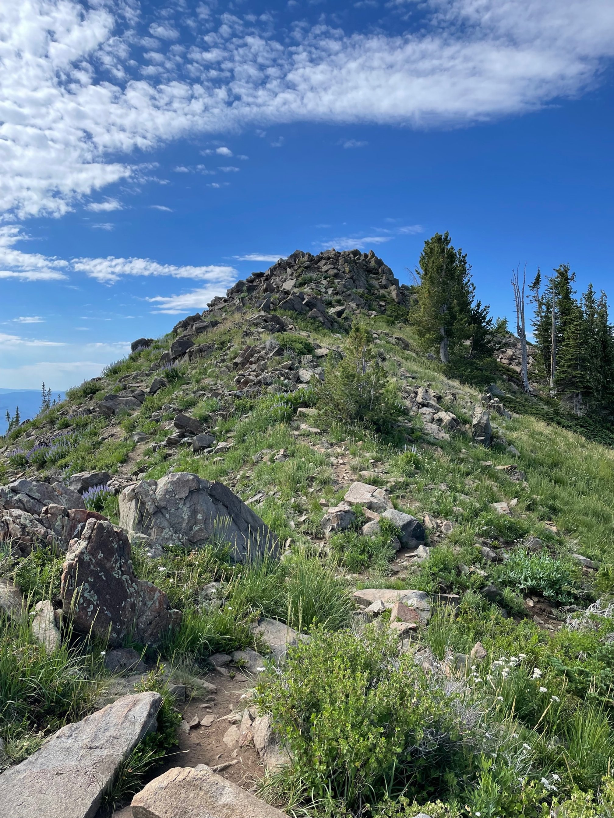 view climbing up Clayton Peak