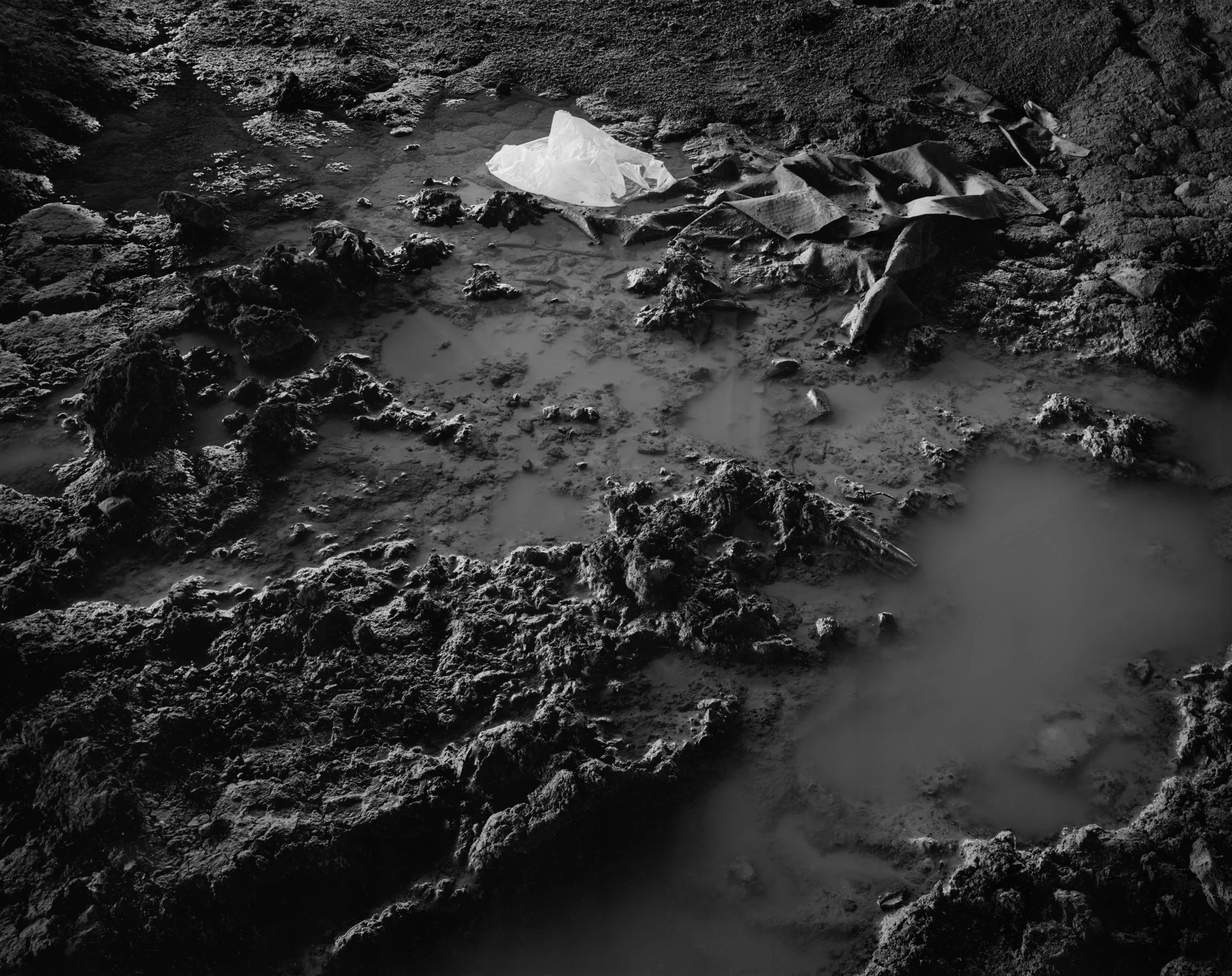 Rowan Conroy, Broken Ground, from the series The Poetics of Detritus , 2008 (printed 2019), Piezography inkjet print.
