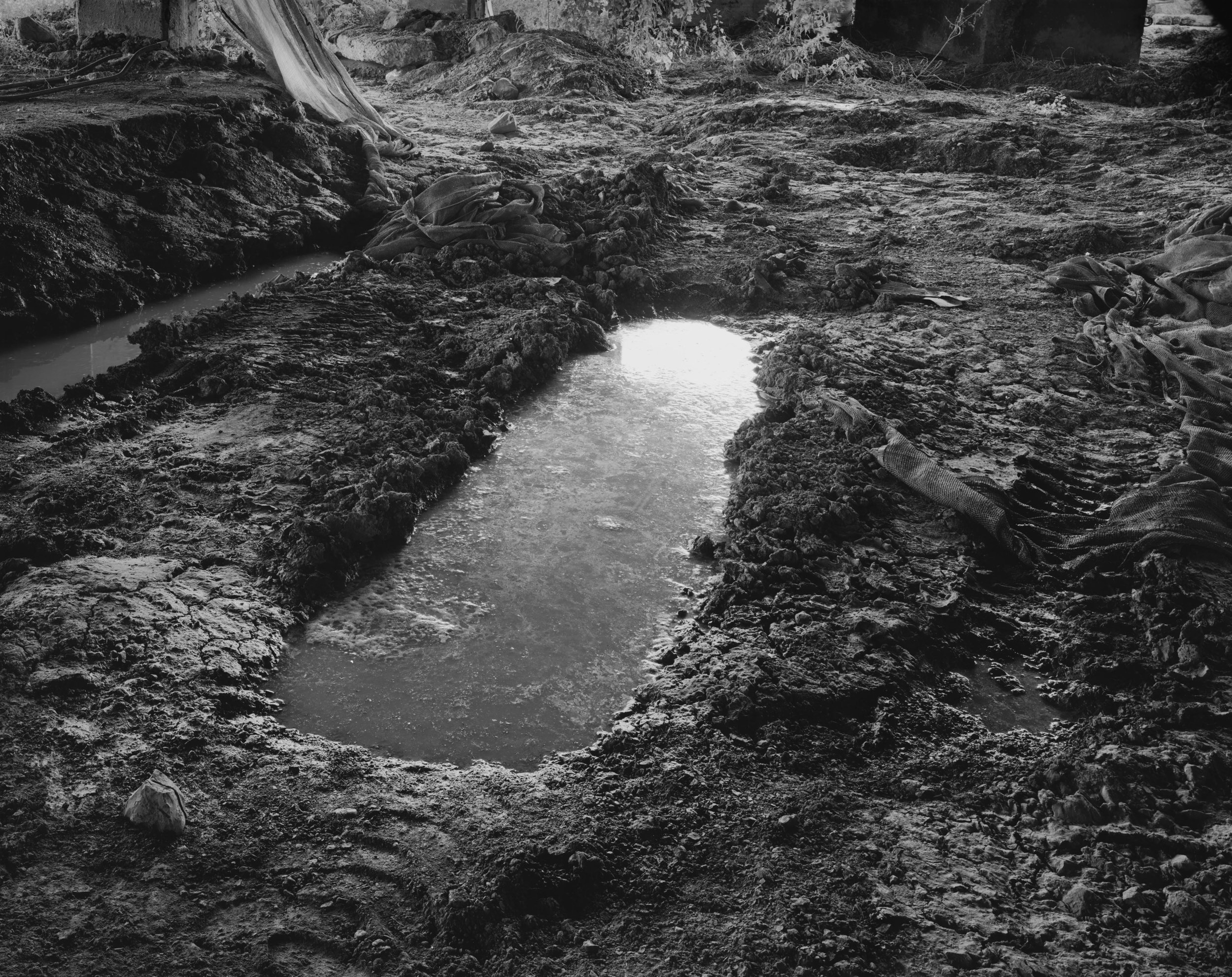 Rowan Conroy, Burial, from the series The Poetics of Detritus , 2008 (printed 2019), Piezography inkjet print.