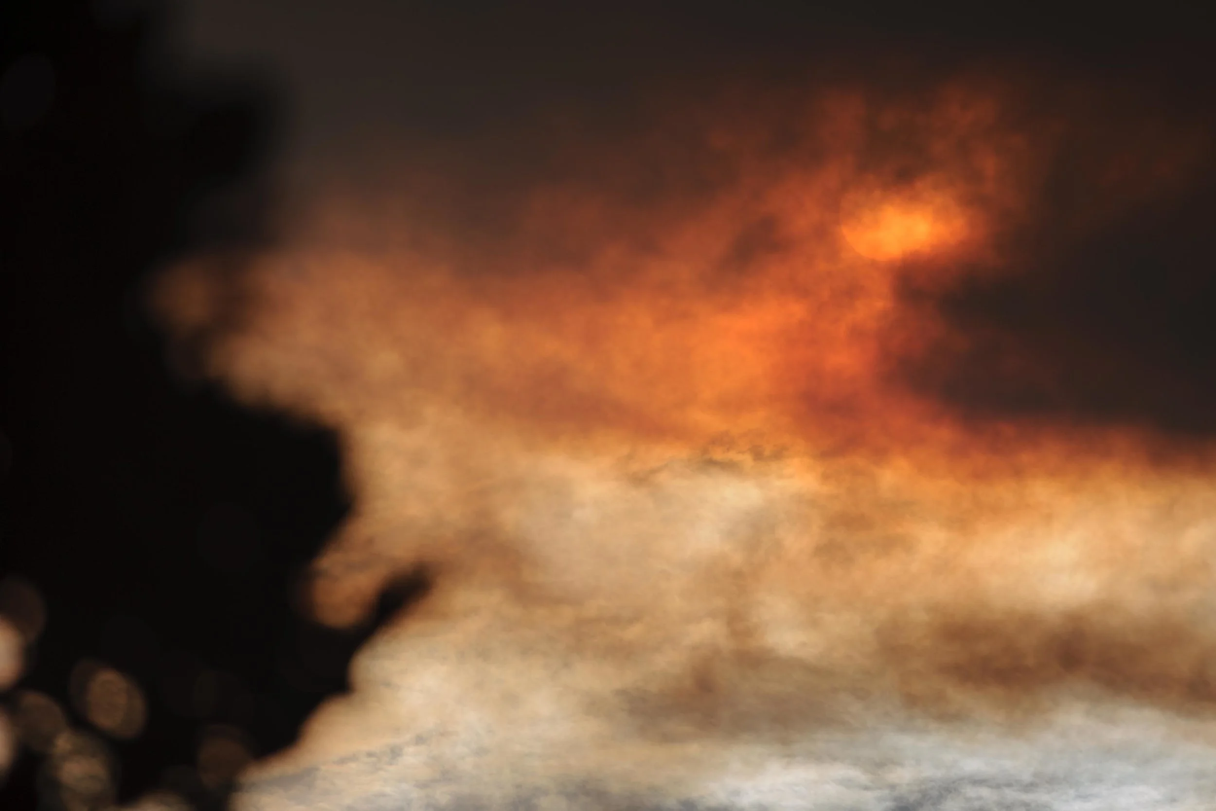 Rowan Conroy, Untitled #13, from the series Natura Naturans 2014. Pigment inkjet print on cotton rag.