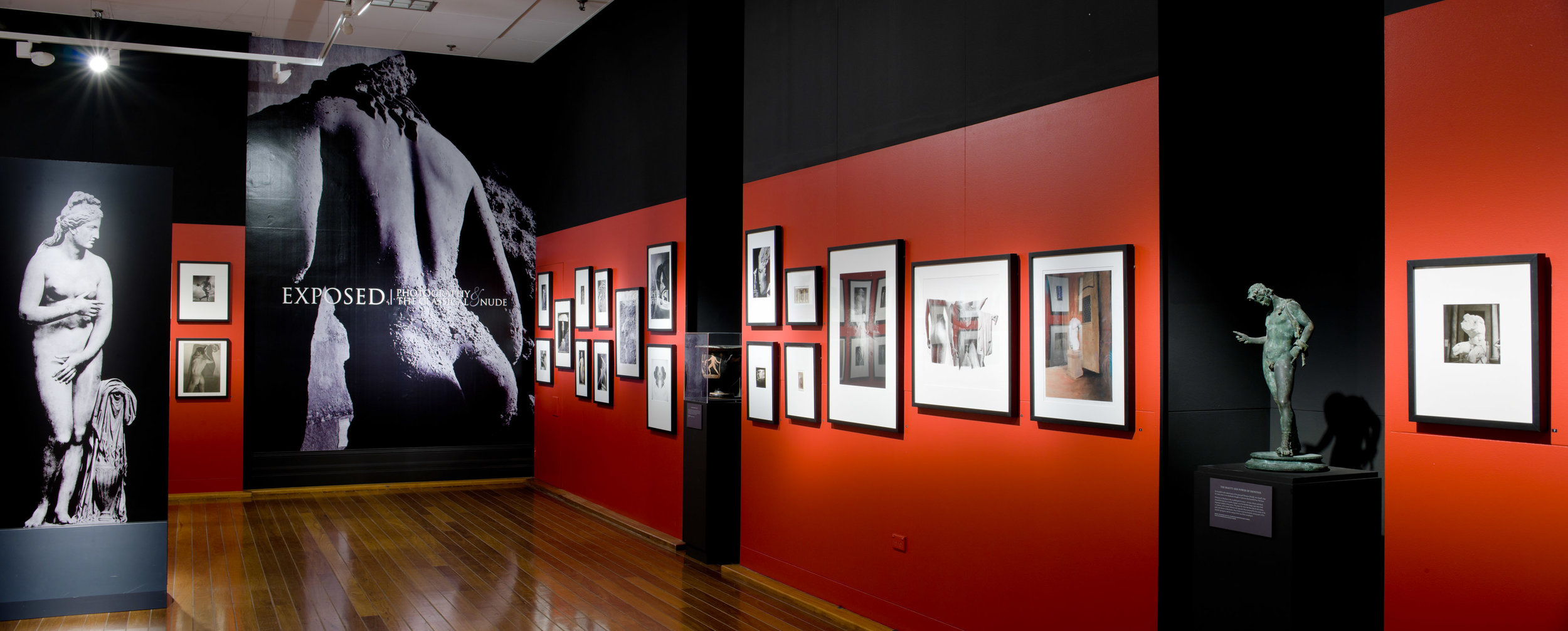 Nicholson Museum, The University of Sydney / 2011