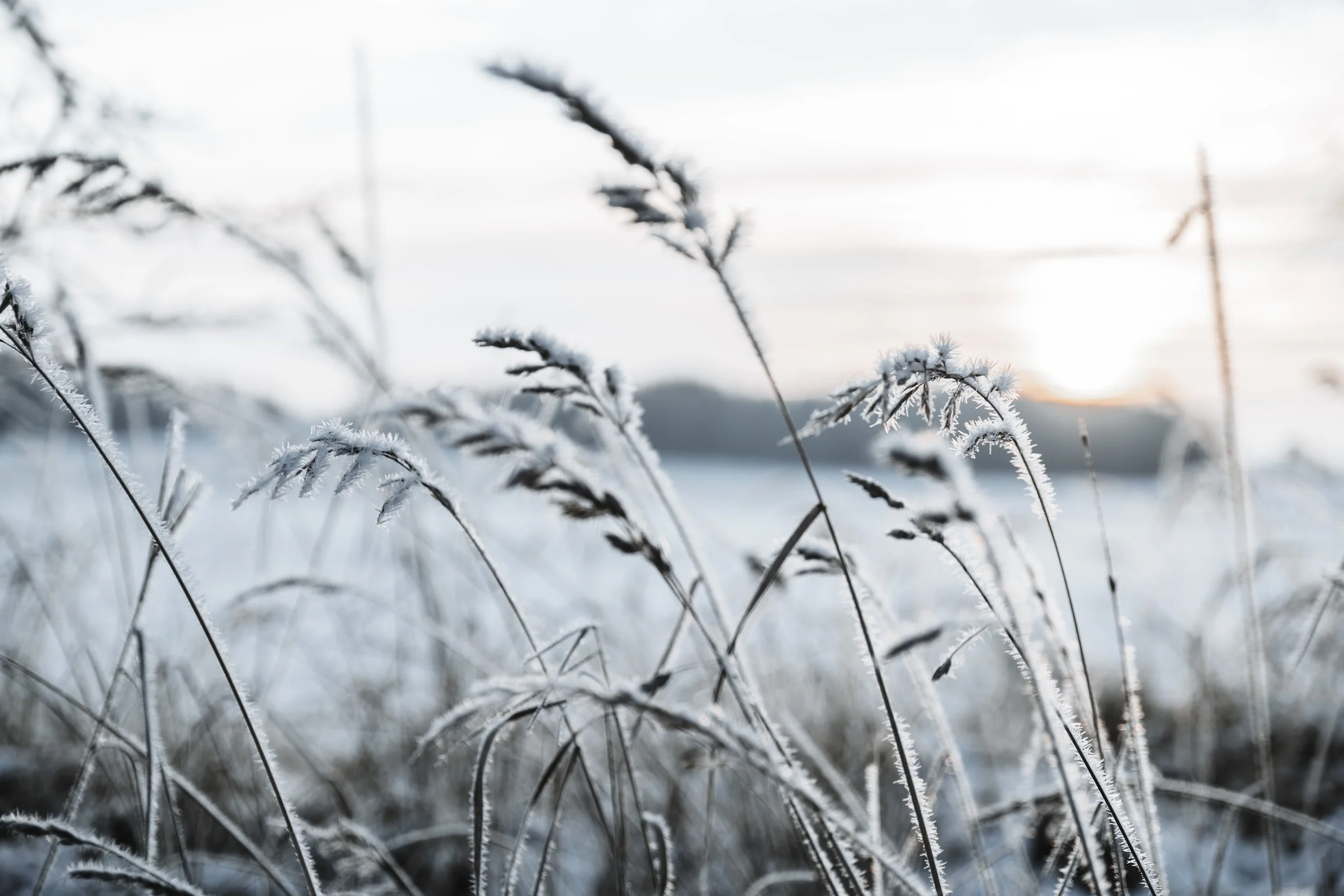 3 Visioning tips that can help in uncertain times