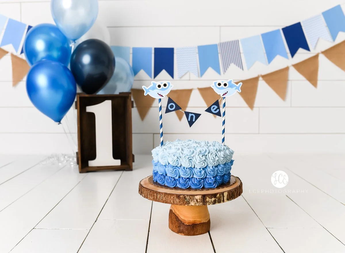 Cake Smash Blog Lce Photography
