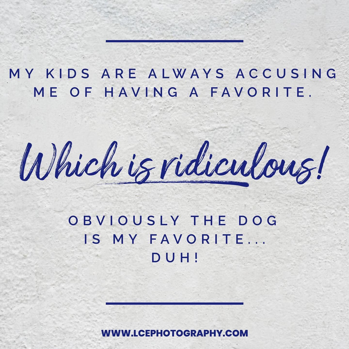 Am I right? 🐶🐶 #dogmom #ilovemydogs  #cotondetulear #goldendoodle