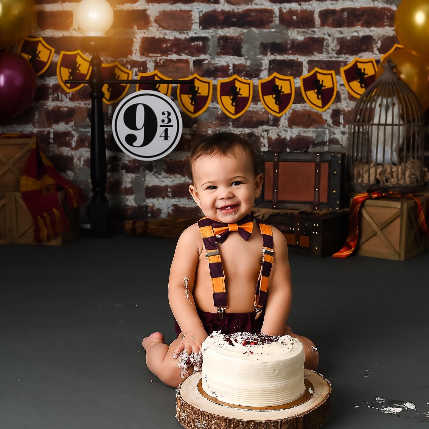Happy birthday today to this cutie! Can you guess the theme? Way too many cute ones to share! 
.
.
.
#harrypotter #harrypottercake #harrypottercakesmash #loudouncountyphotographer #loudouncountyphotography #leesburgva #leesburgvaphotographer #locova 