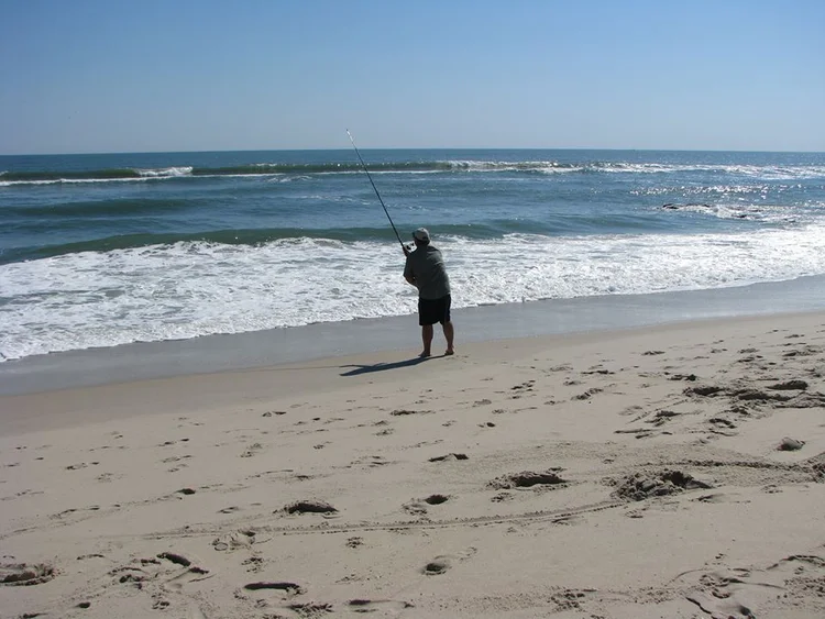 LBI Fall Classic Surf Fishing Tournament Information — LBI Surf Fishing