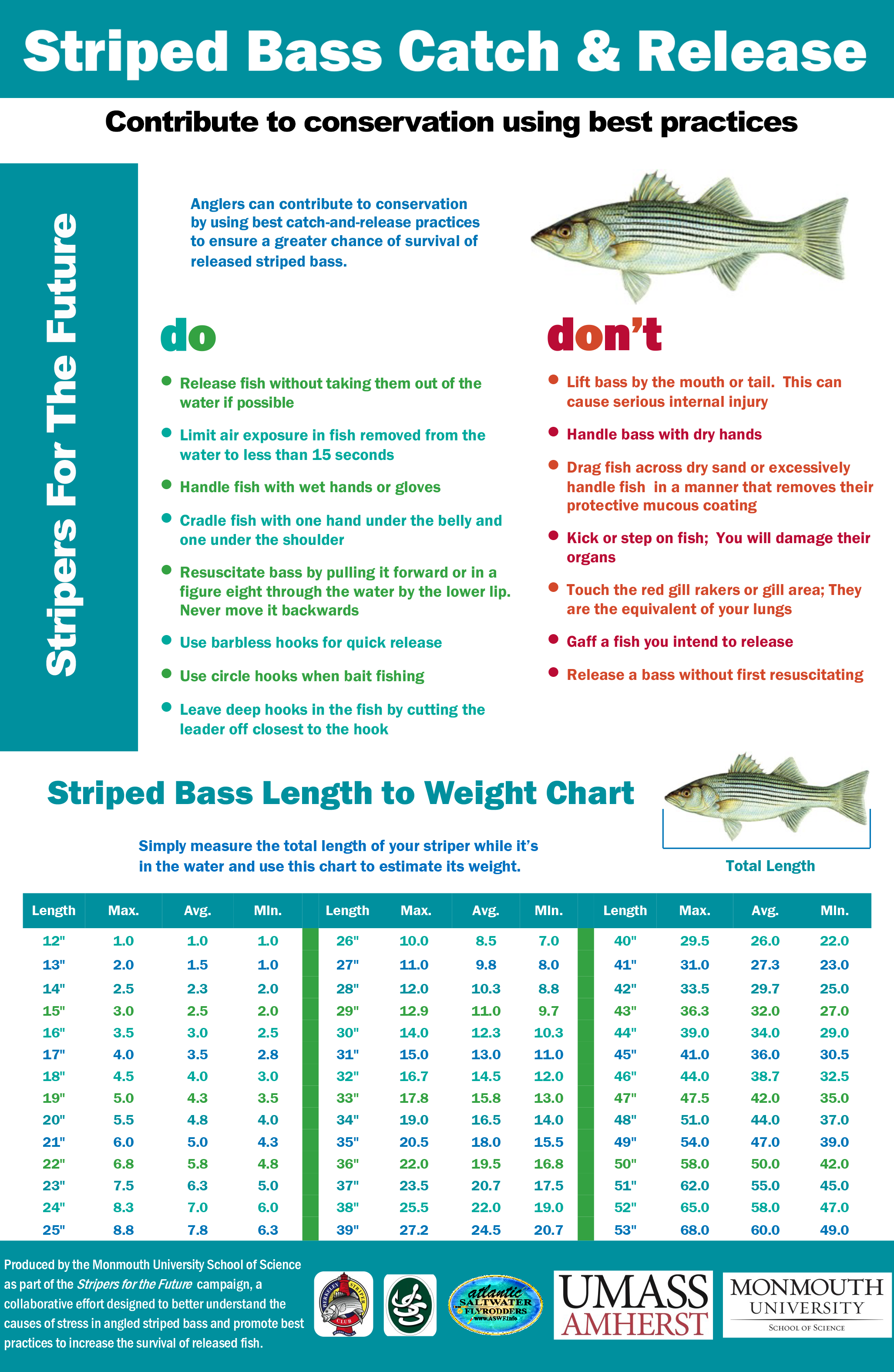 The Art Of Crimping - Tackle Rigging Tips - LBI NJ Fishing Report