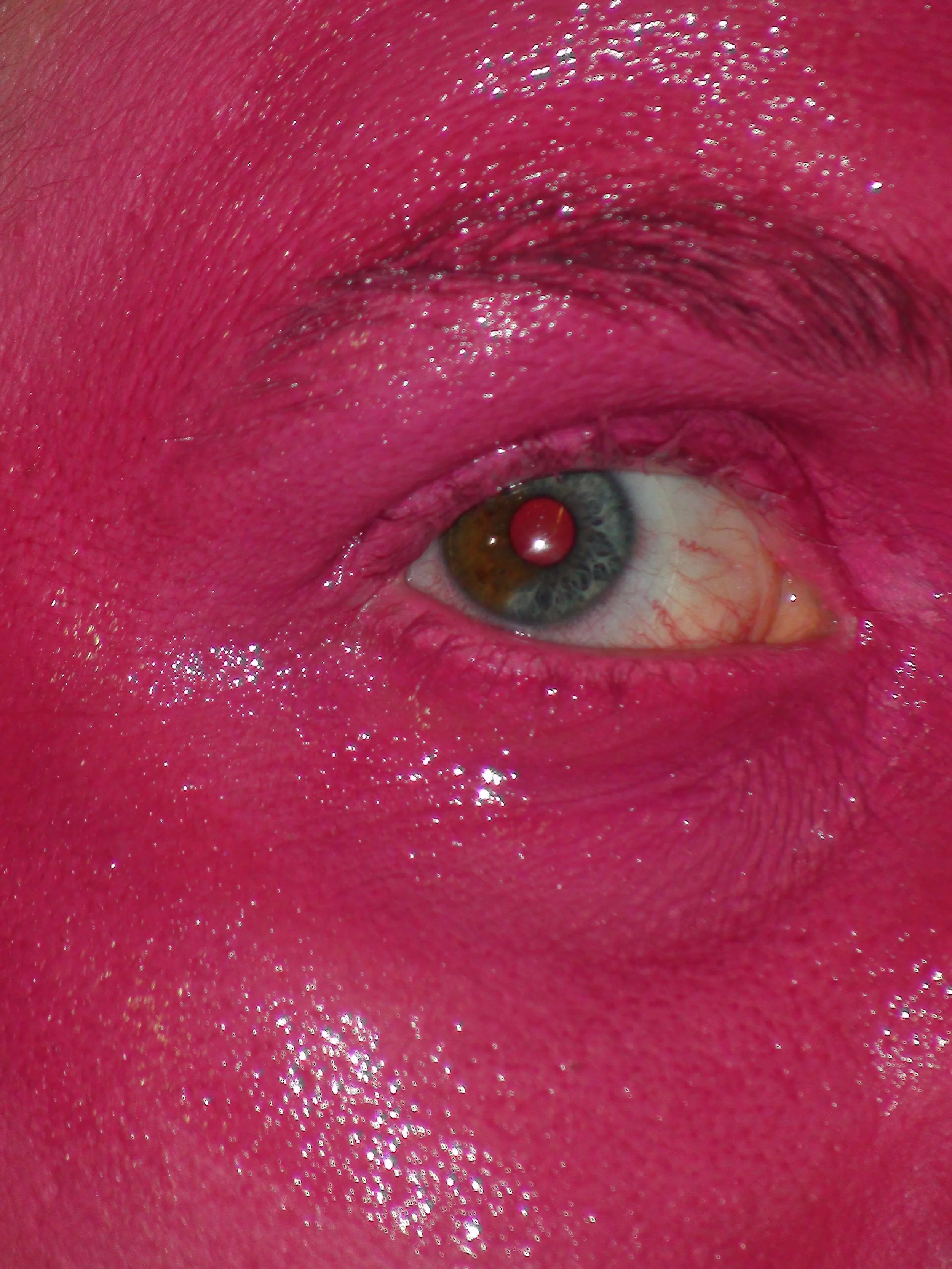 DSC03930.JPG