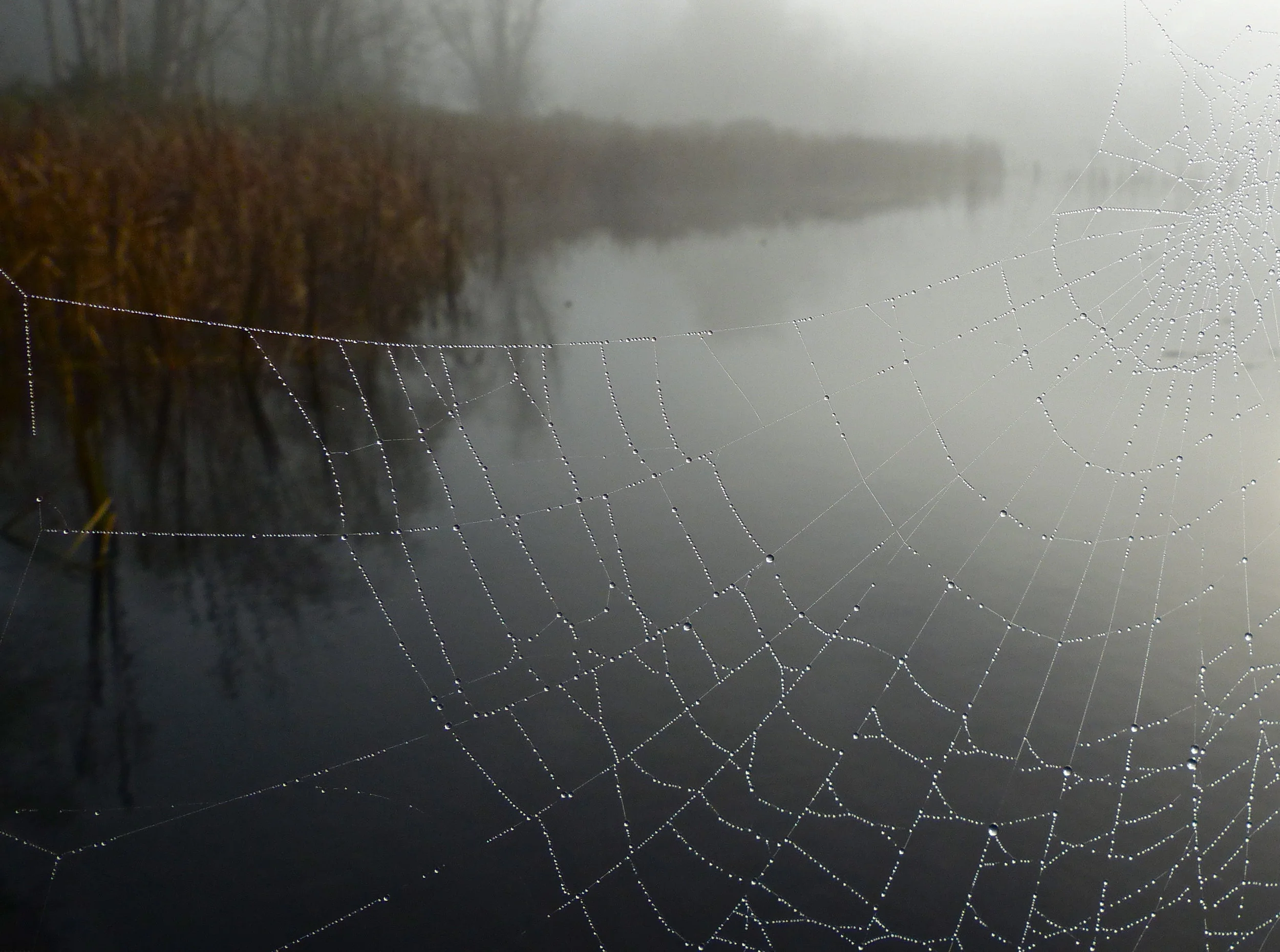 JMR - Sunday Lake Web P1050538_2_2_2.JPG