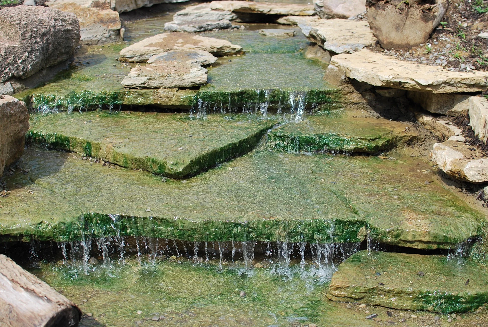 DSC_0013.jpg