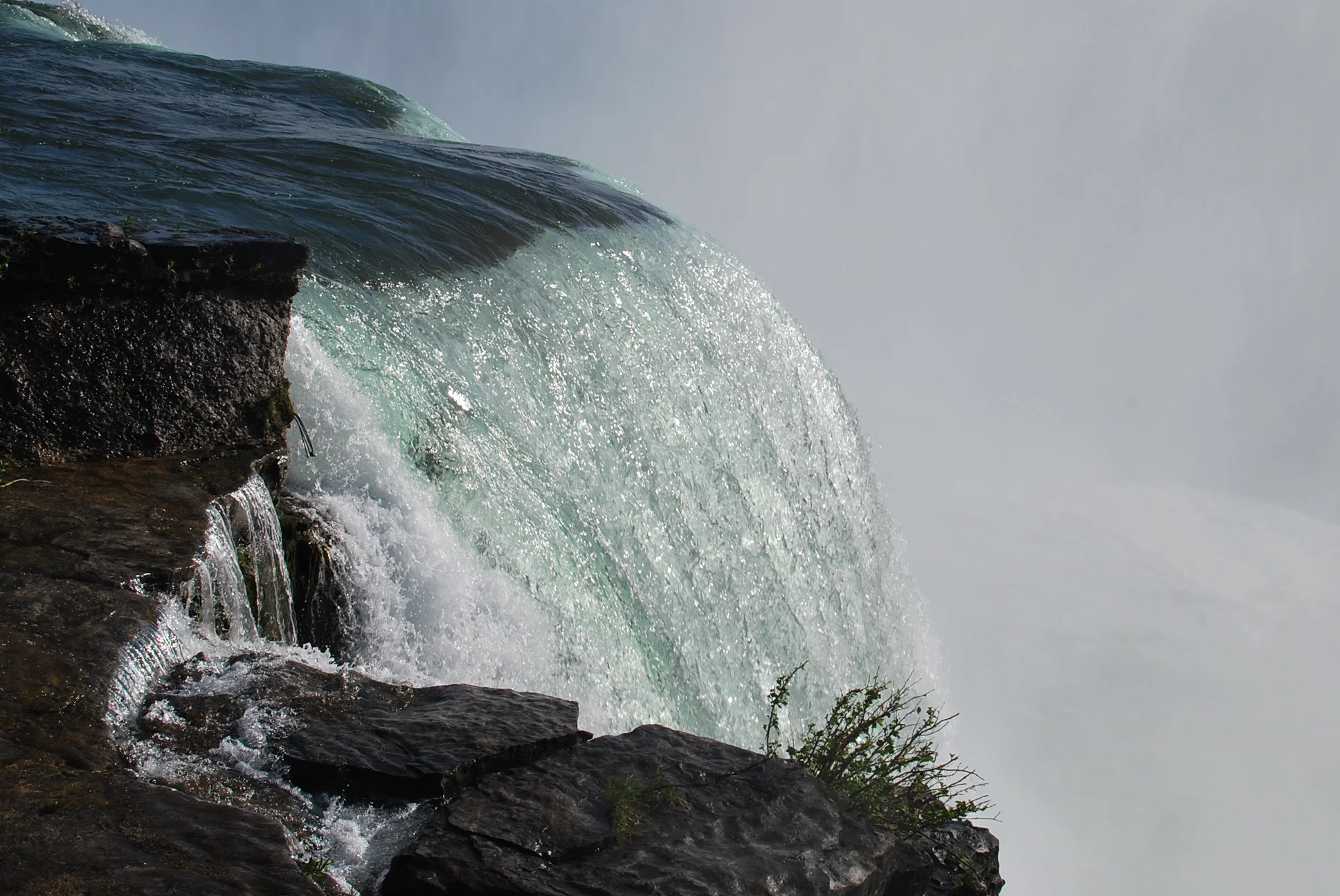 DSC_1570.jpg