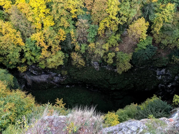 Looking down into the deep, green Macocha Abyss in the Moravian Karst region.